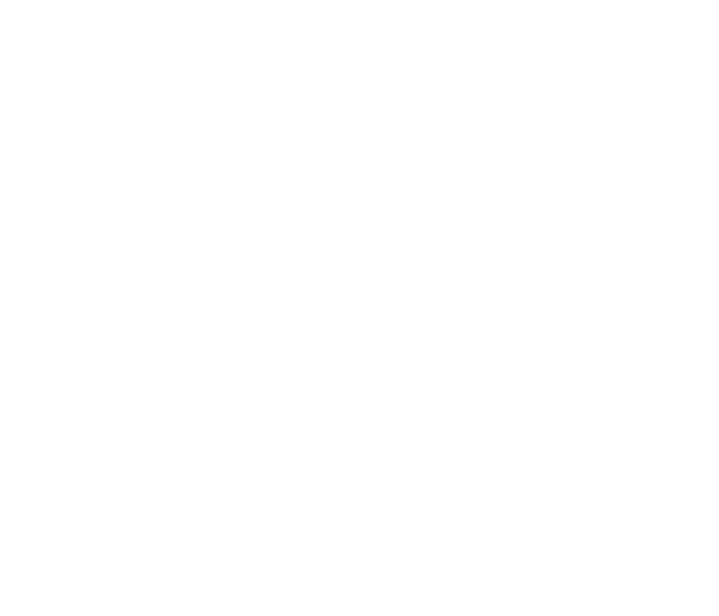 Diamond Champ SD